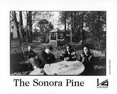 The Sonora Pine