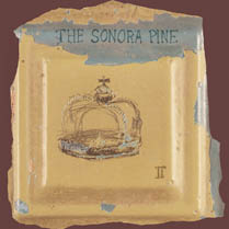 II | The Sonora Pine