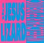 Wheelchair Epidemic / Dancing Naked Ladies | The Jesus Lizard